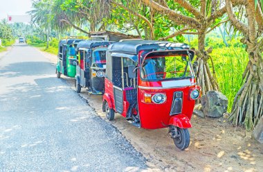 Renkli tuk tuks