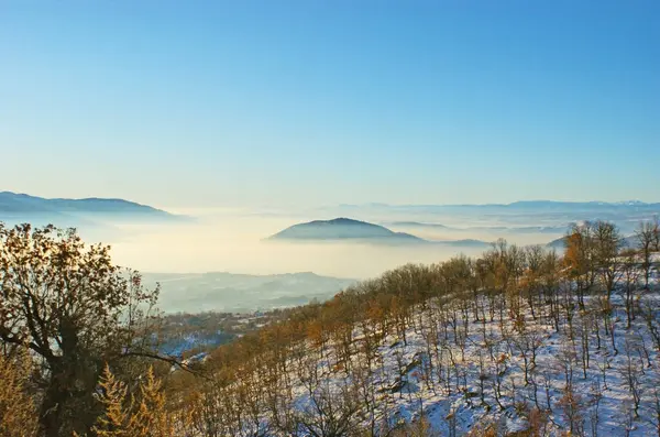 Der Winternebel — Stockfoto