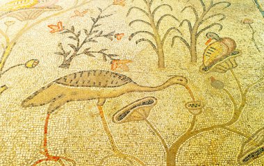 Mozaik heron ve ördek