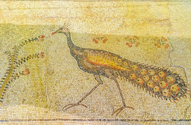 Tavuskuşu çarpma kilisede mozaiği