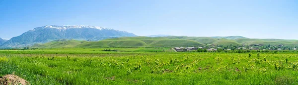 Panorama del prado uzbeko — Foto de Stock