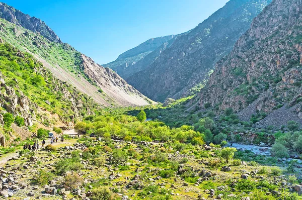 The shady Zarmas gorge — Stock Photo, Image