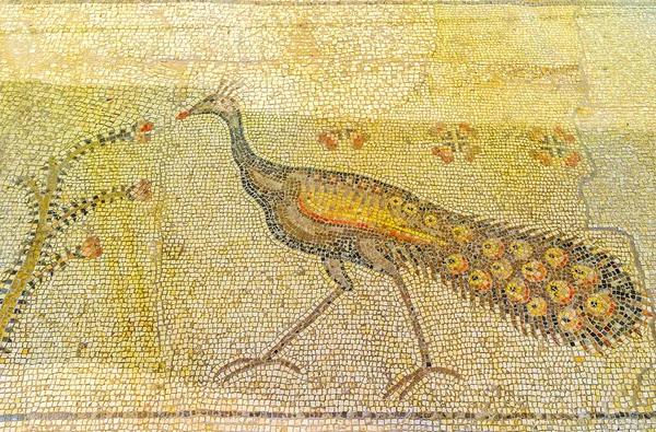 Tavuskuşu çarpma kilisede mozaiği