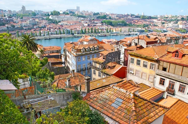 Discover old Porto — Stock Photo, Image