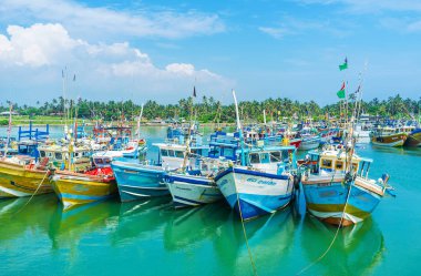 Ünlü South Coast liman