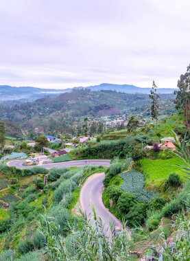 Bükülmüş dağ yolu