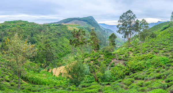 Низкие горы
