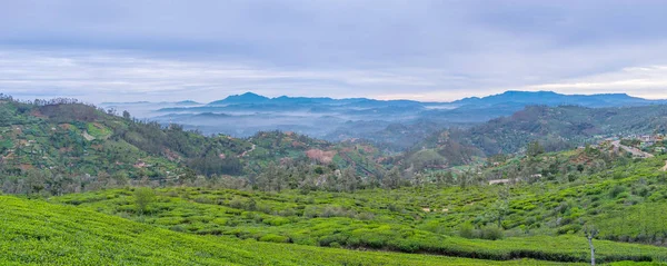 La mañana brumosa en las montañas — Foto de Stock