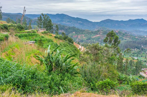 Nature of mountain land — Stock Photo, Image