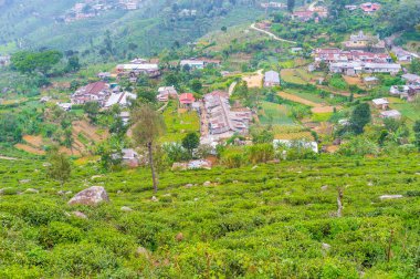 Sri Lanka'nın gecekondu