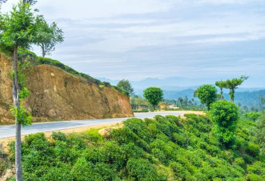 Alanları arasındaki yol