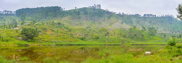 The small pond — Stock Photo, Image