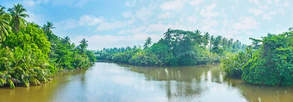 Las islas en el río —  Fotos de Stock