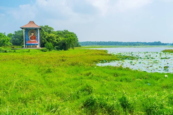 De groene meren van Sri Lanka — Stockfoto