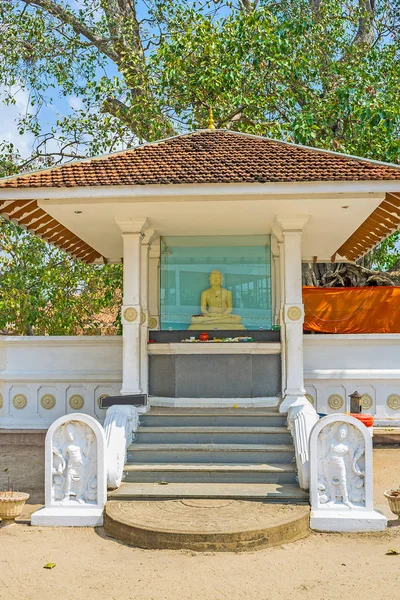 The Bo Tree of Thaniwalla Devalaya — Stock Photo, Image