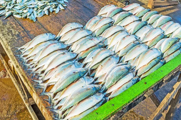 I filari di pesce fresco — Foto Stock