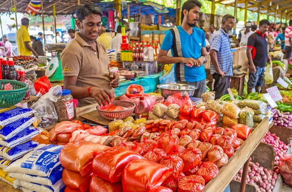 De srilankanske krydderier - Stock-foto