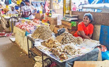 Kurutulmuş balık yığınları