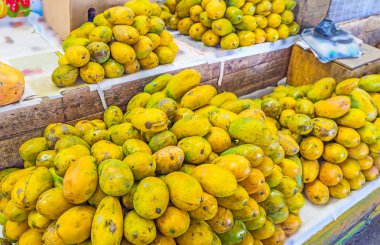 Papaya yığınları