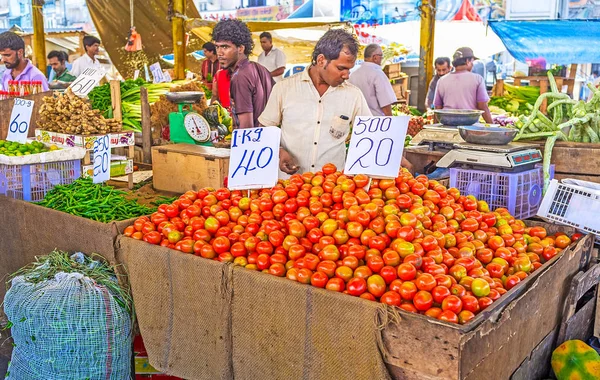 Los tomates frescos — Foto de Stock