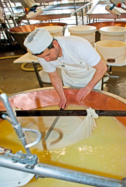 The parmesan making in Parma