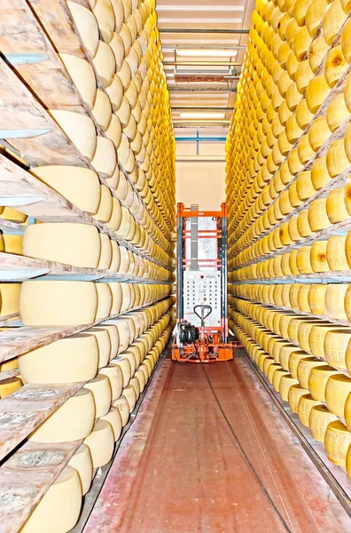 Découvrez la transformation du fromage — Photo