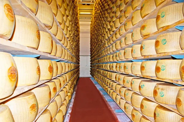 Les meules de fromage marquées — Photo