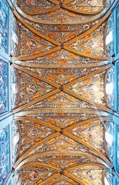 Panorama of the ceiling in Parma Cathedral — Stock Photo, Image