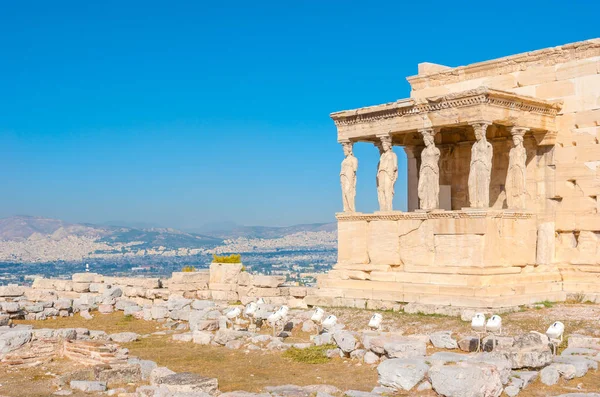 Il porto di Cariatidi — Foto Stock