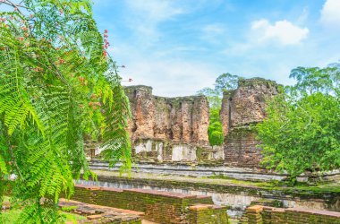 Çiçek açan ağaç görünümüyle