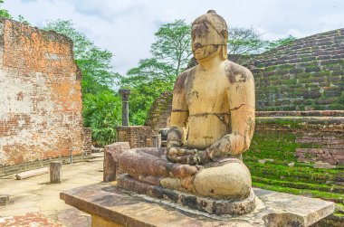 Buda Dalada Maluwa içinde meditasyon