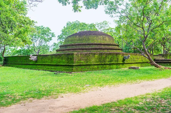 Alahana Pirivena에서 벽돌 stupa — 스톡 사진