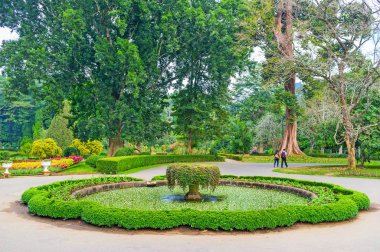 Botanik Bahçesi yollarda