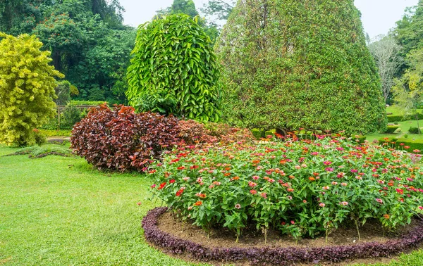 Flower beds of Kandy — Stock Photo, Image
