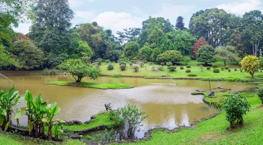 Kandy Botanik Bahçe ve peyzaj