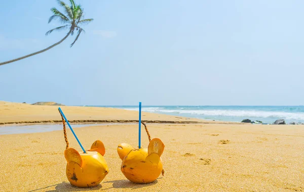 Romantic vacation in Sri Lanka — Stock Photo, Image
