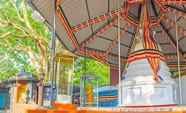 Visite du temple Sri Viwekaramaya à Unawatuna — Photo