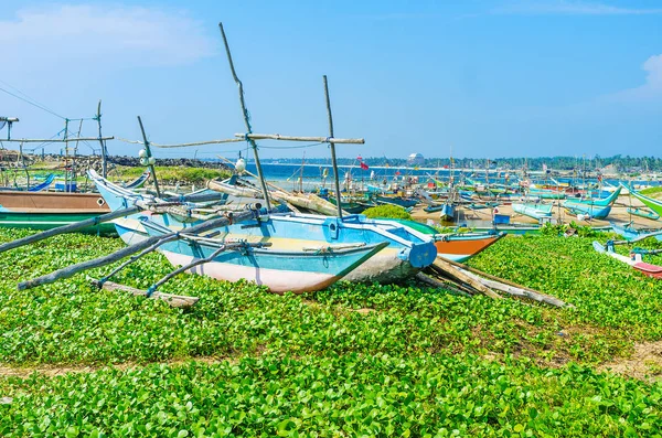 The oruwa boats among the greenery — Stock Photo, Image