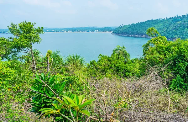 De groene kust van Sri Lanka — Stockfoto