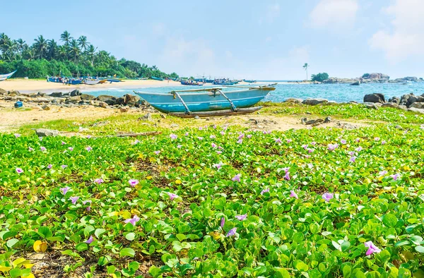 De bloemen op het strand — Stockfoto