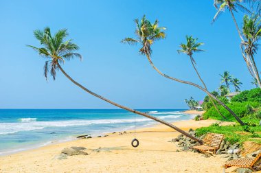 Sahilde lastik salıncak