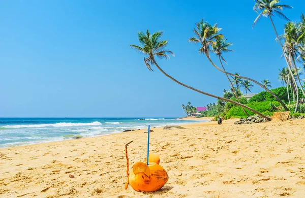 The coconut mice on the sand — Stock Photo, Image