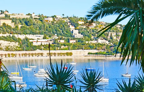 De groene stad van de Côte d'Azur — Stockfoto