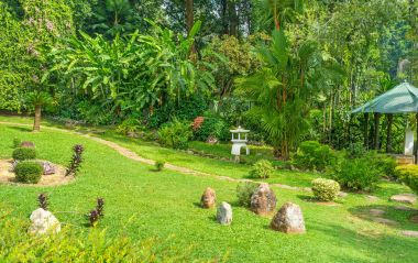 Tropikal bitki örtüsü