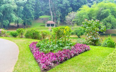 Güzel çiçek tarhı