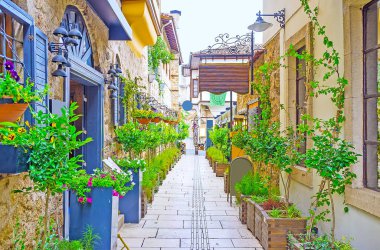 Ağaçlar ve çiçekler de eski Antalya
