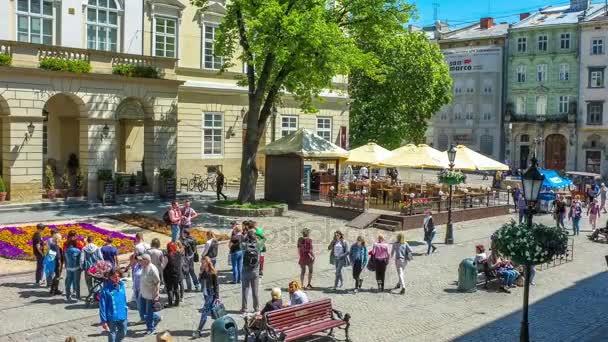 Πλατεία του Lvov Ουκρανία και αγορά — Αρχείο Βίντεο