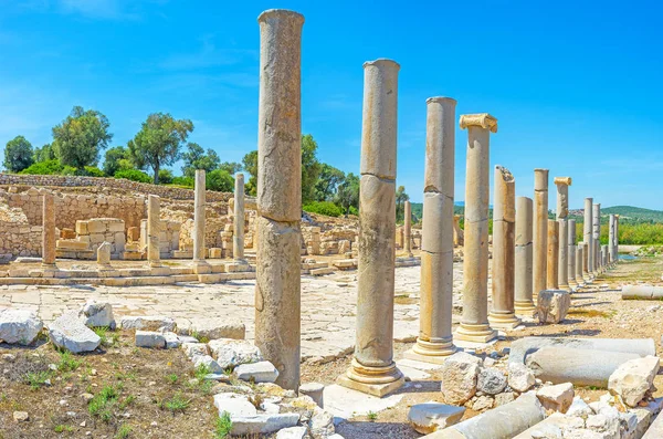 Las columnas arruinadas — Foto de Stock