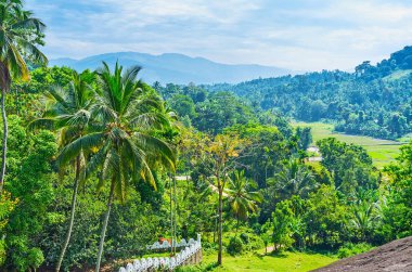 Udunuwara tropikal doğa
