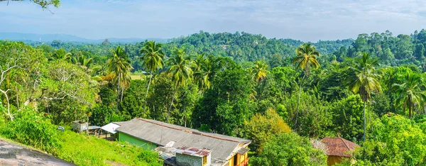 Panorama of Sri Lankan jungles — Stock Photo, Image